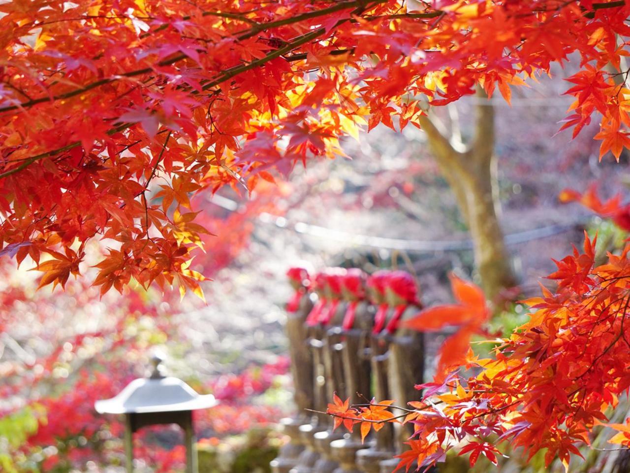 Togakubo Hotell Isehara Exteriör bild
