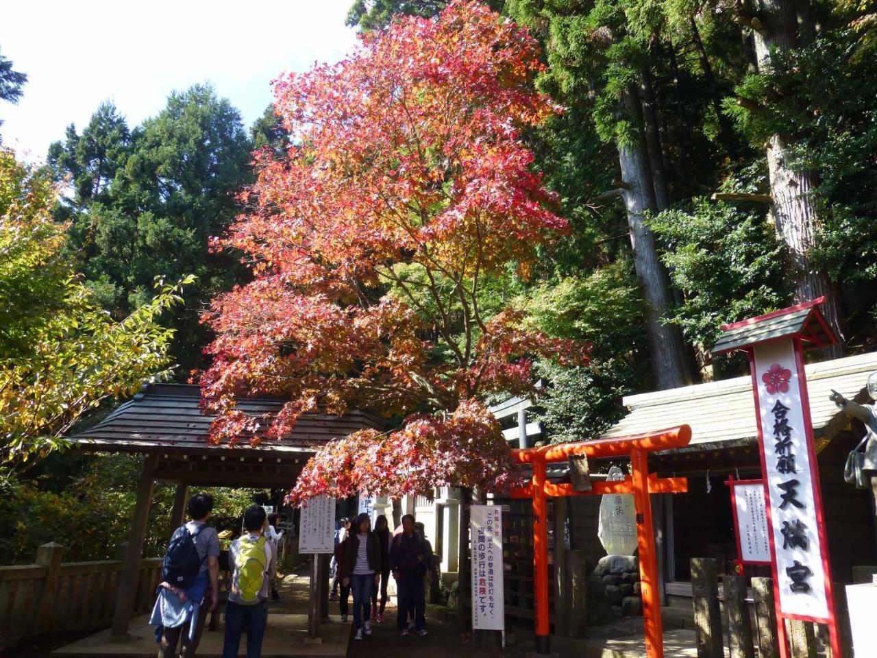 Togakubo Hotell Isehara Exteriör bild
